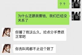 霍邱为什么选择专业追讨公司来处理您的债务纠纷？